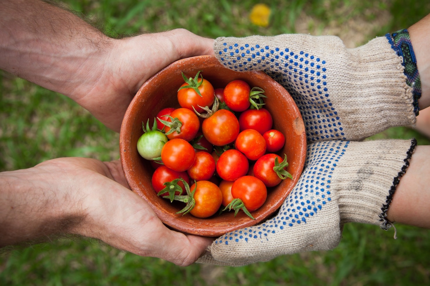 Food Supply Chains: The Hidden Struggles